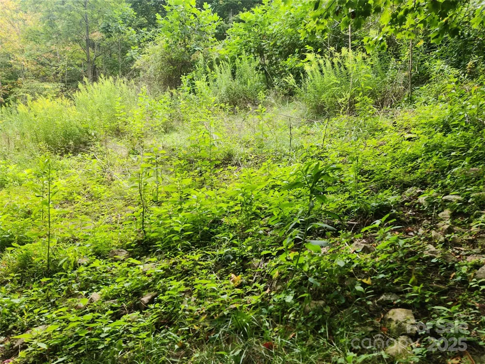 1925 S Fork Road Marshall, NC 28753