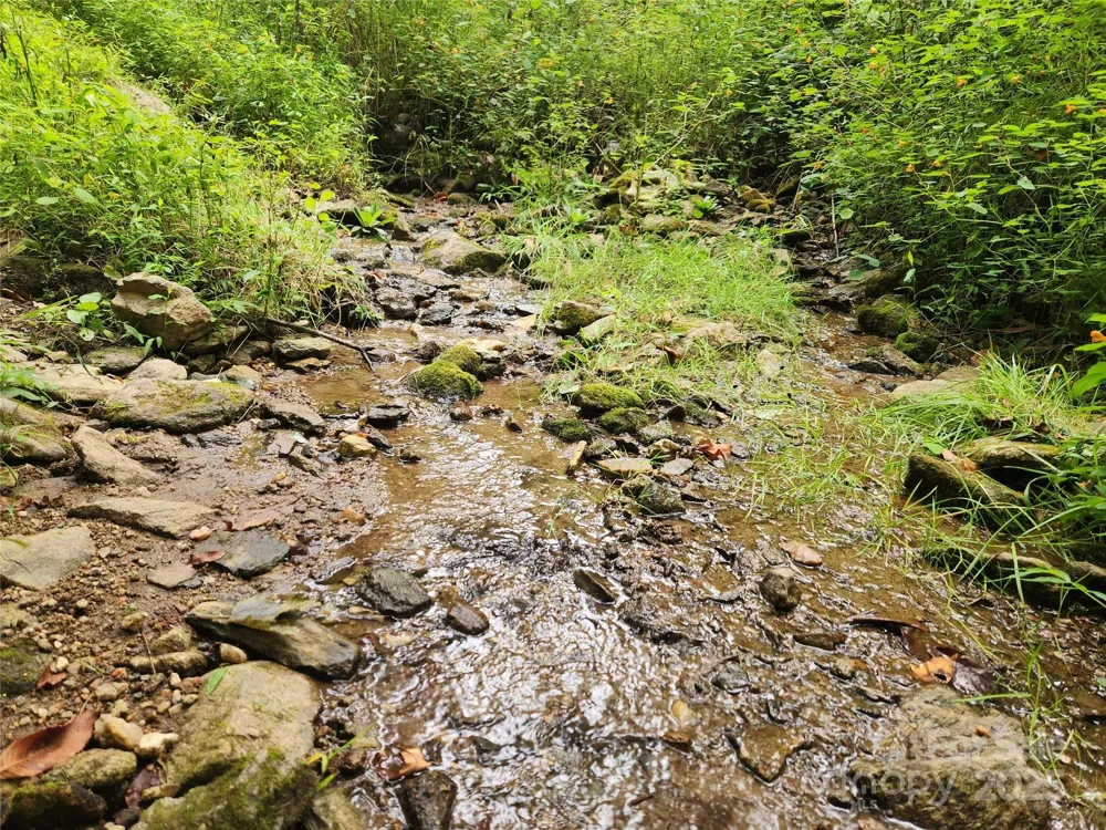 1925 S Fork Road Marshall, NC 28753