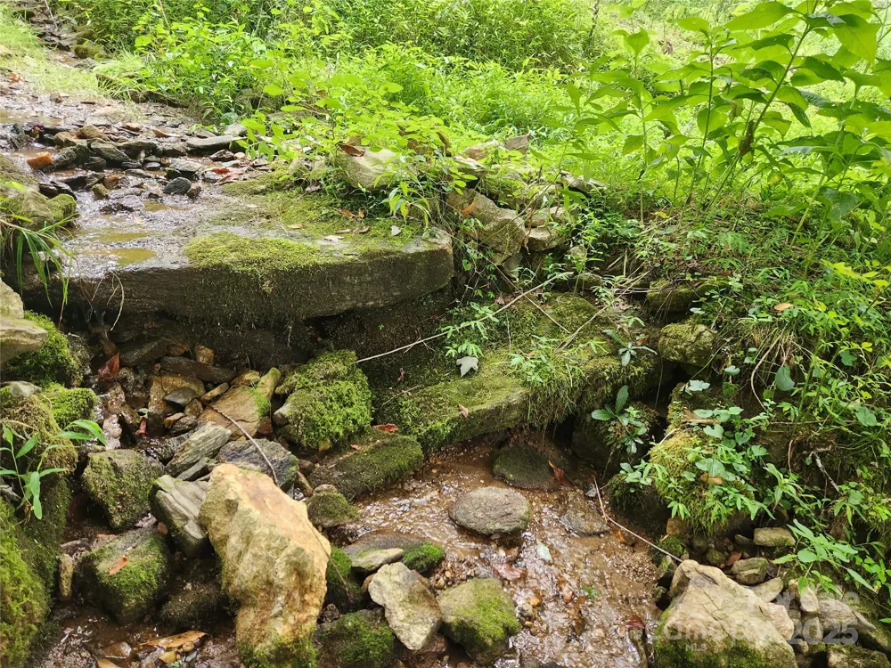 1925 S Fork Road Marshall, NC 28753