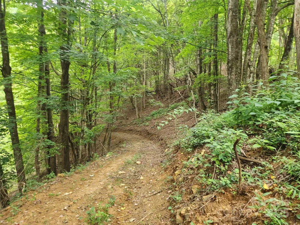 1925 S Fork Road Marshall, NC 28753