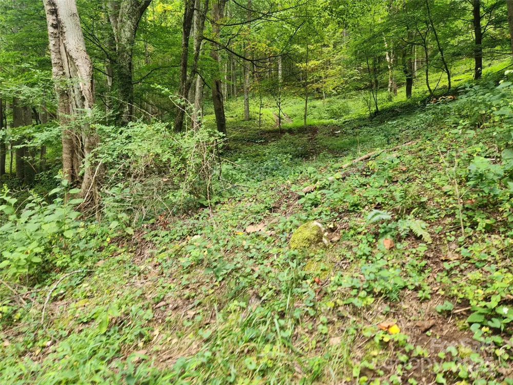 1925 S Fork Road Marshall, NC 28753