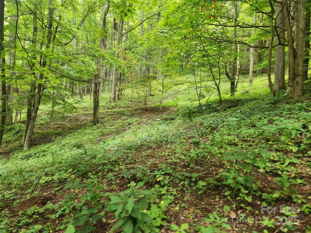 1925 S Fork Road Marshall, NC 28753