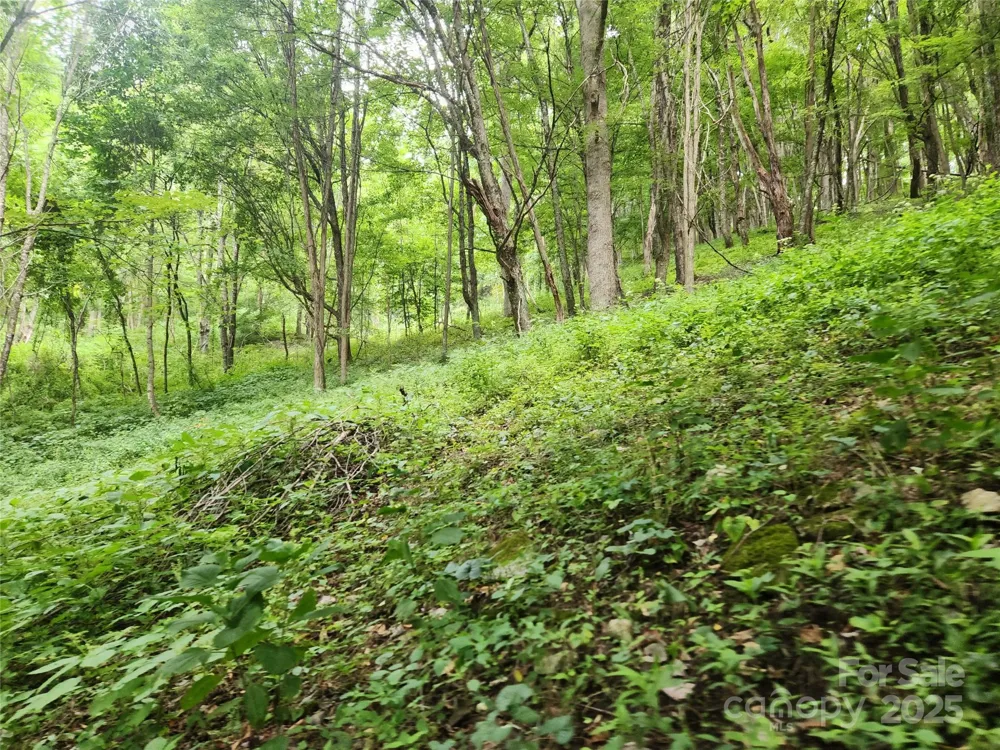 1925 S Fork Road Marshall, NC 28753