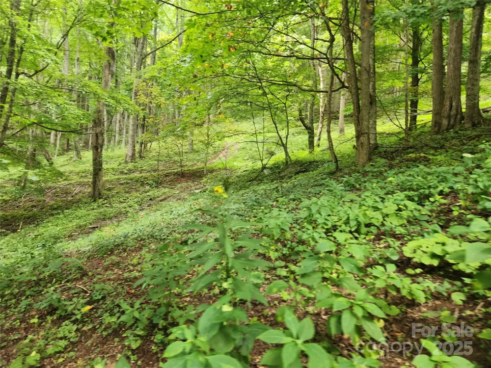 1925 S Fork Road Marshall, NC 28753