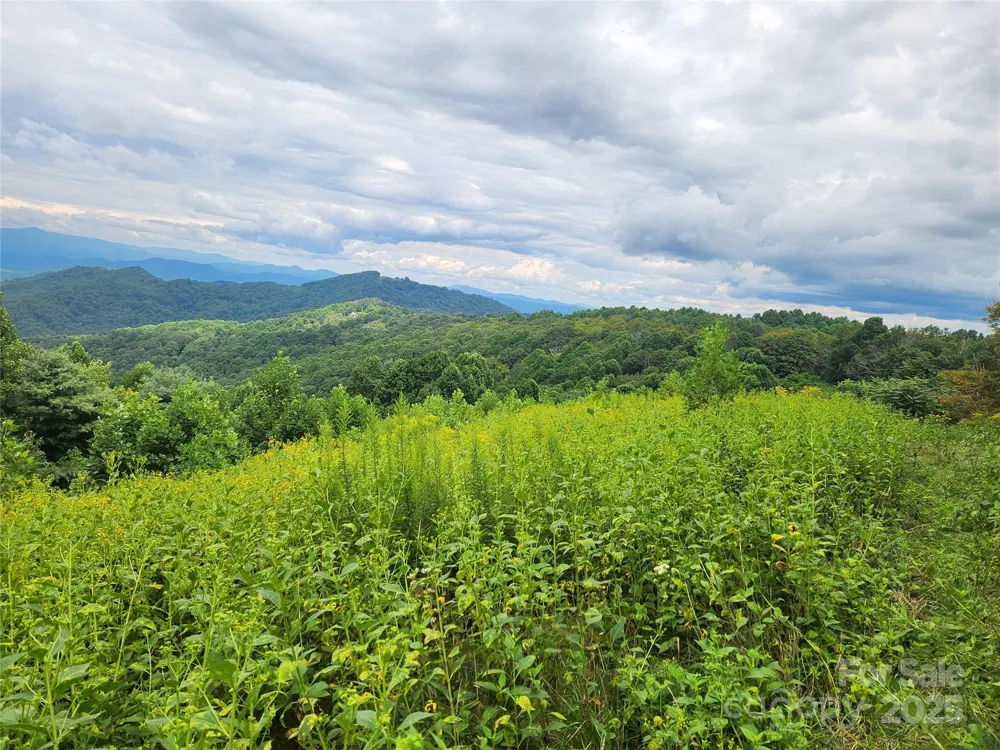 1925 S Fork Road Marshall, NC 28753