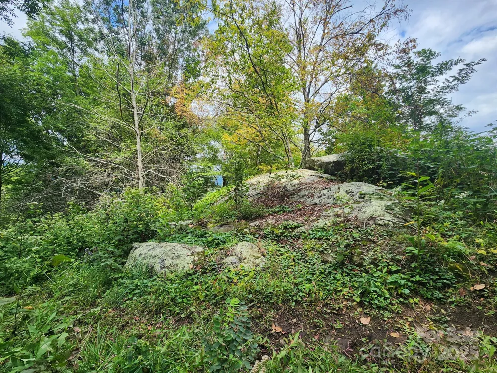 1925 S Fork Road Marshall, NC 28753