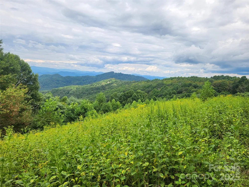 1925 S Fork Road Marshall, NC 28753