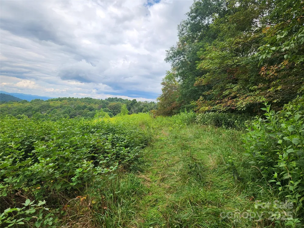 1925 S Fork Road Marshall, NC 28753
