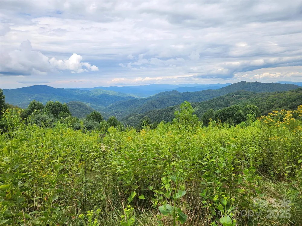 1925 S Fork Road Marshall, NC 28753