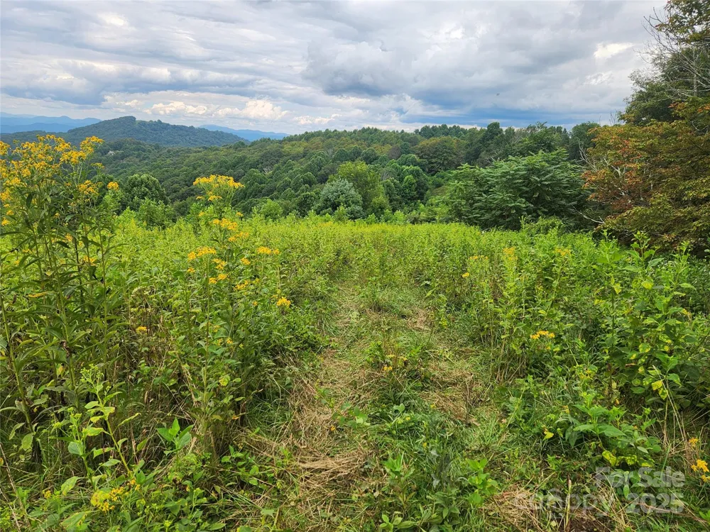 1925 S Fork Road Marshall, NC 28753