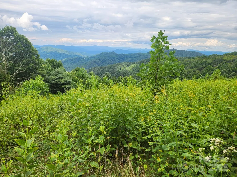 1925 S Fork Road Marshall, NC 28753