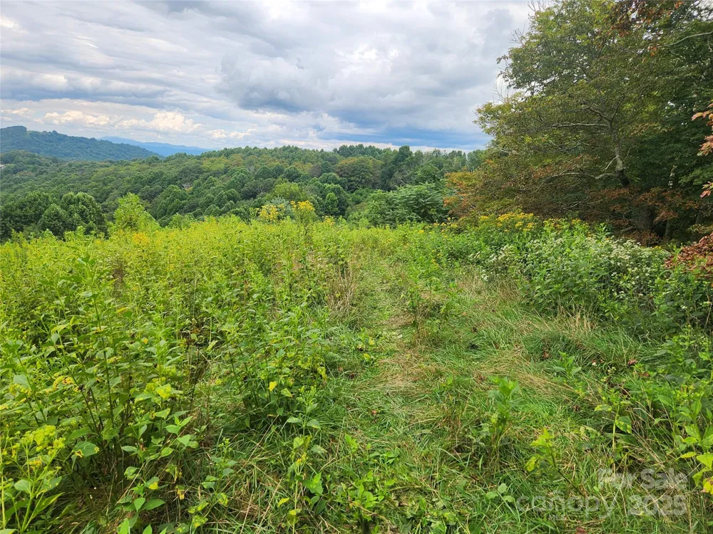1925 S Fork Road Marshall, NC 28753