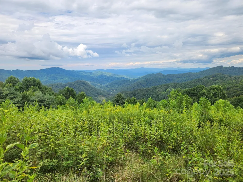 1925 S Fork Road Marshall, NC 28753
