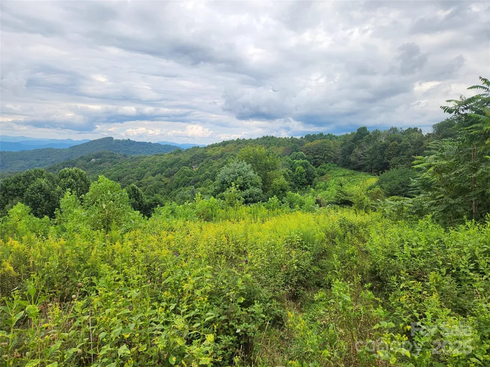 1925 S Fork Road Marshall, NC 28753