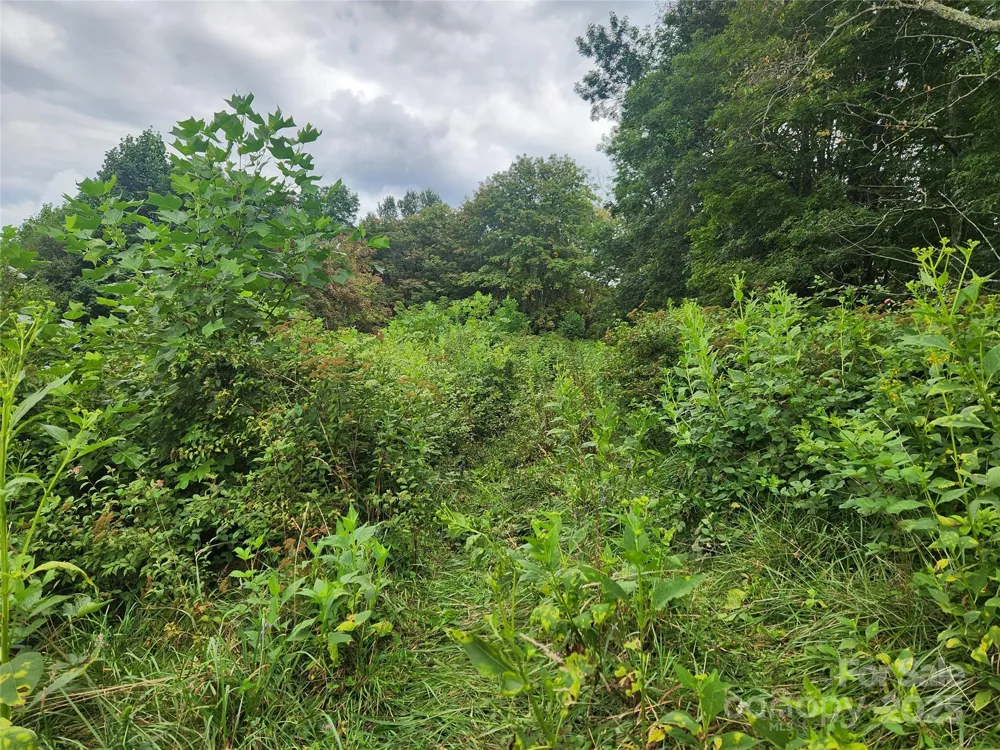 1925 S Fork Road Marshall, NC 28753