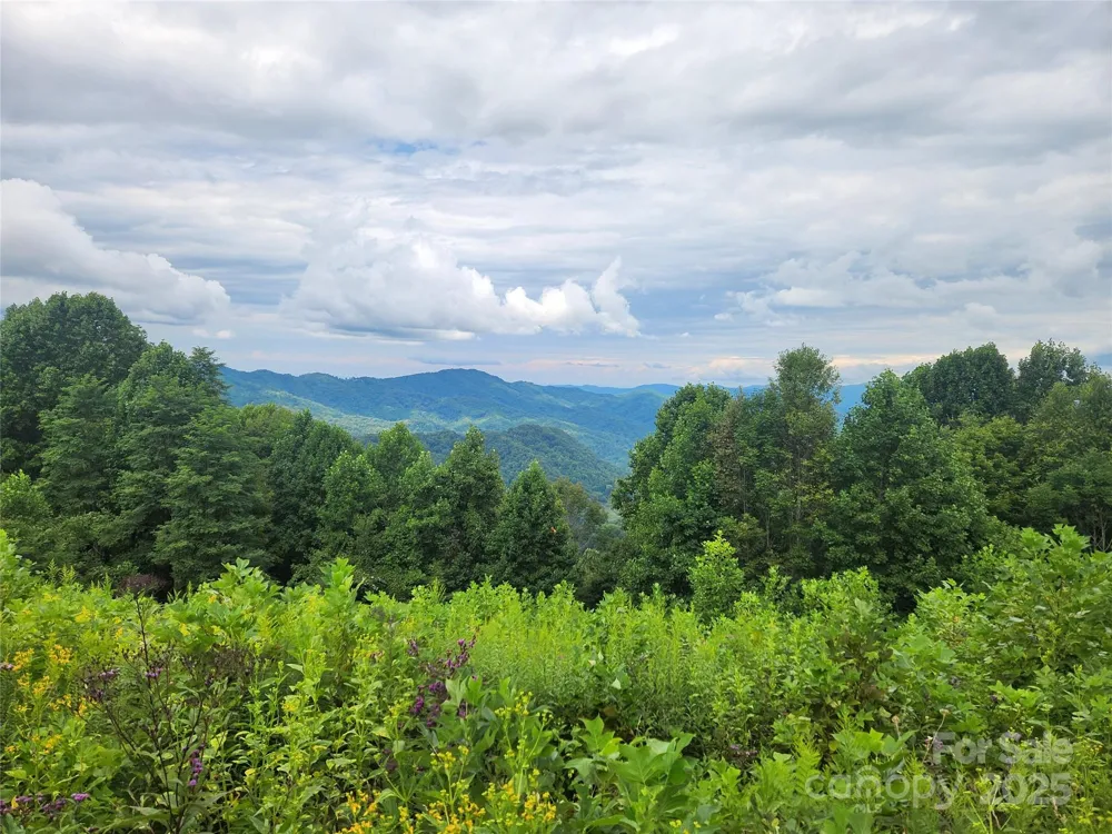 1925 S Fork Road Marshall, NC 28753