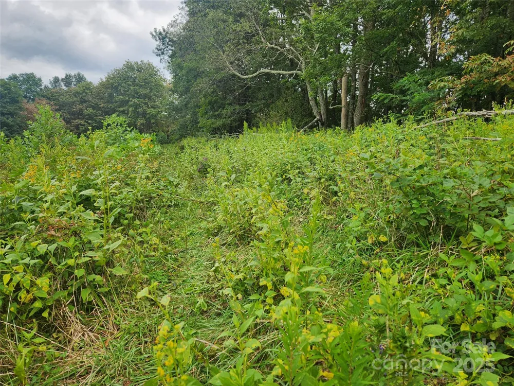 1925 S Fork Road Marshall, NC 28753
