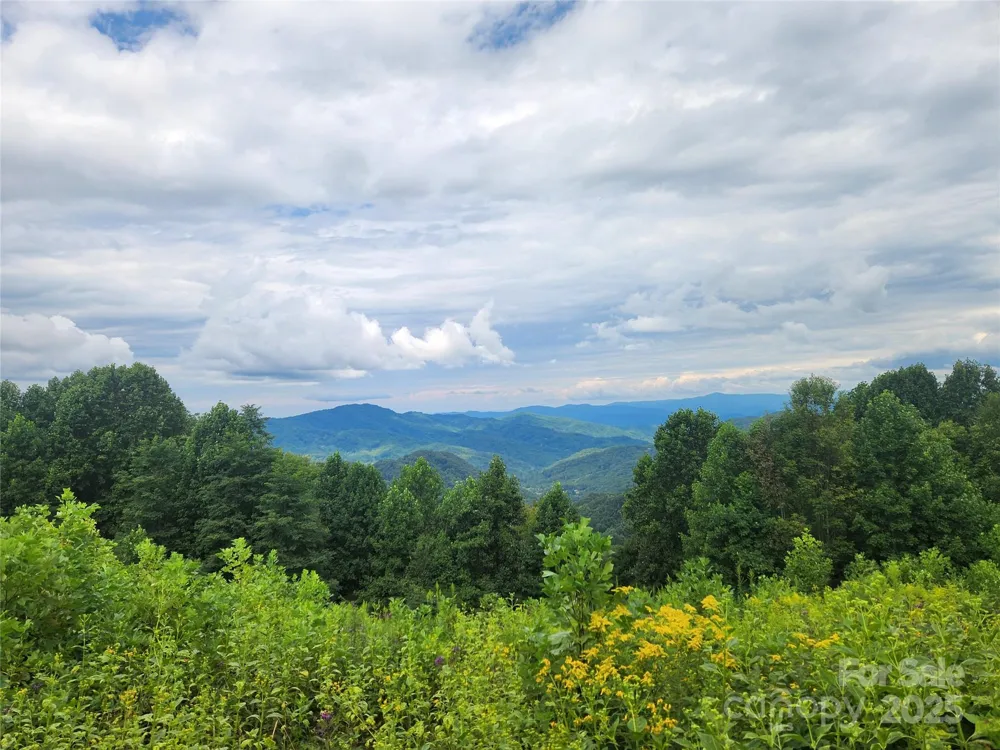 1925 S Fork Road Marshall, NC 28753