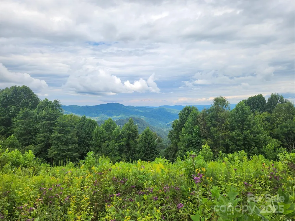 1925 S Fork Road Marshall, NC 28753