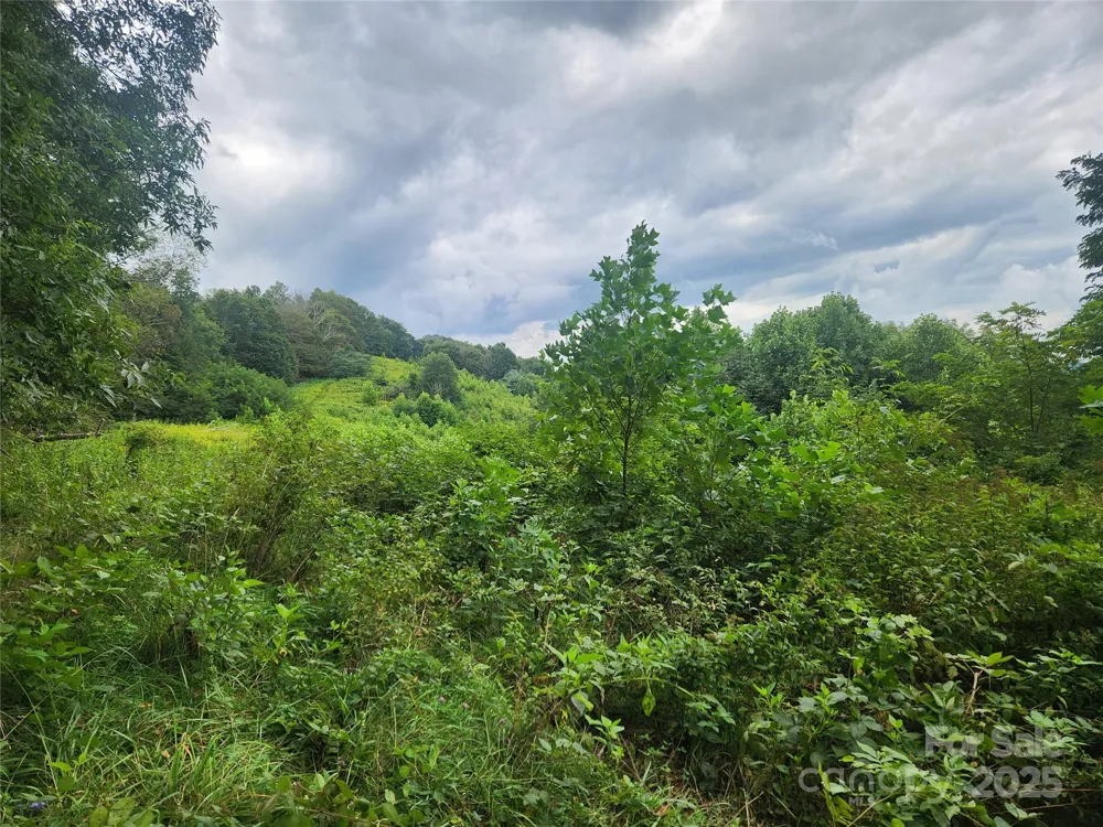 1925 S Fork Road Marshall, NC 28753