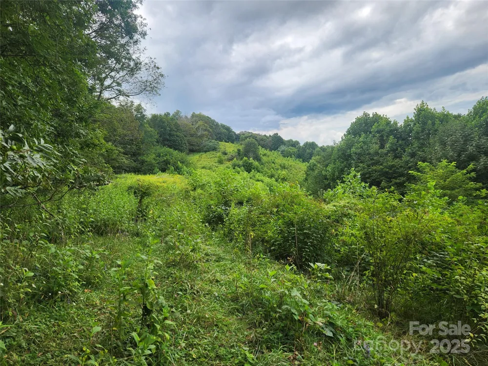 1925 S Fork Road Marshall, NC 28753