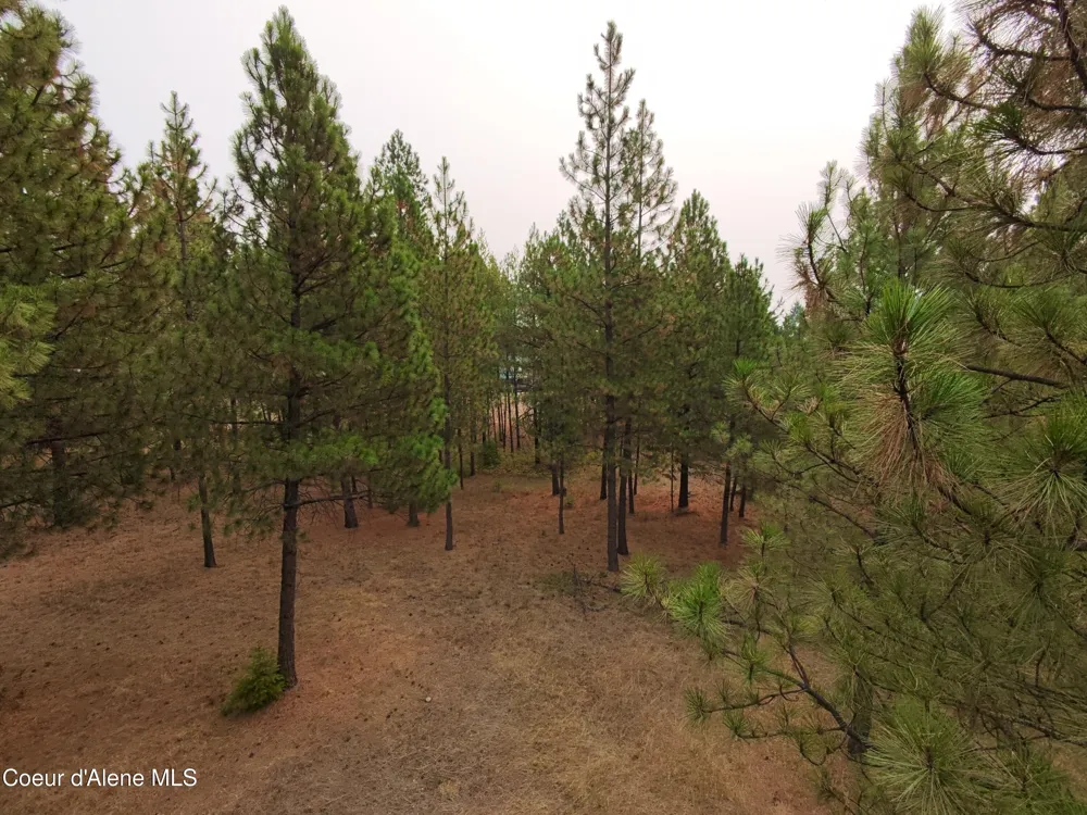 NA 11th Avenue Spirit Lake, ID 83869