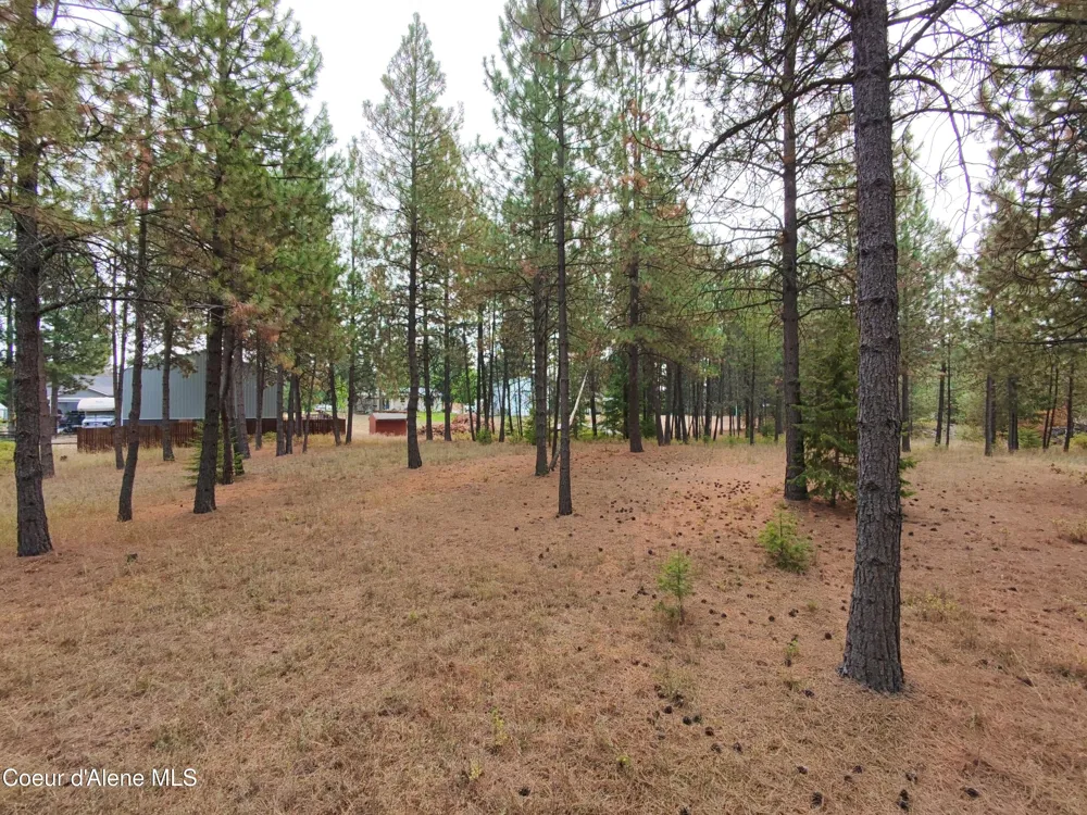 NA 11th Avenue Spirit Lake, ID 83869