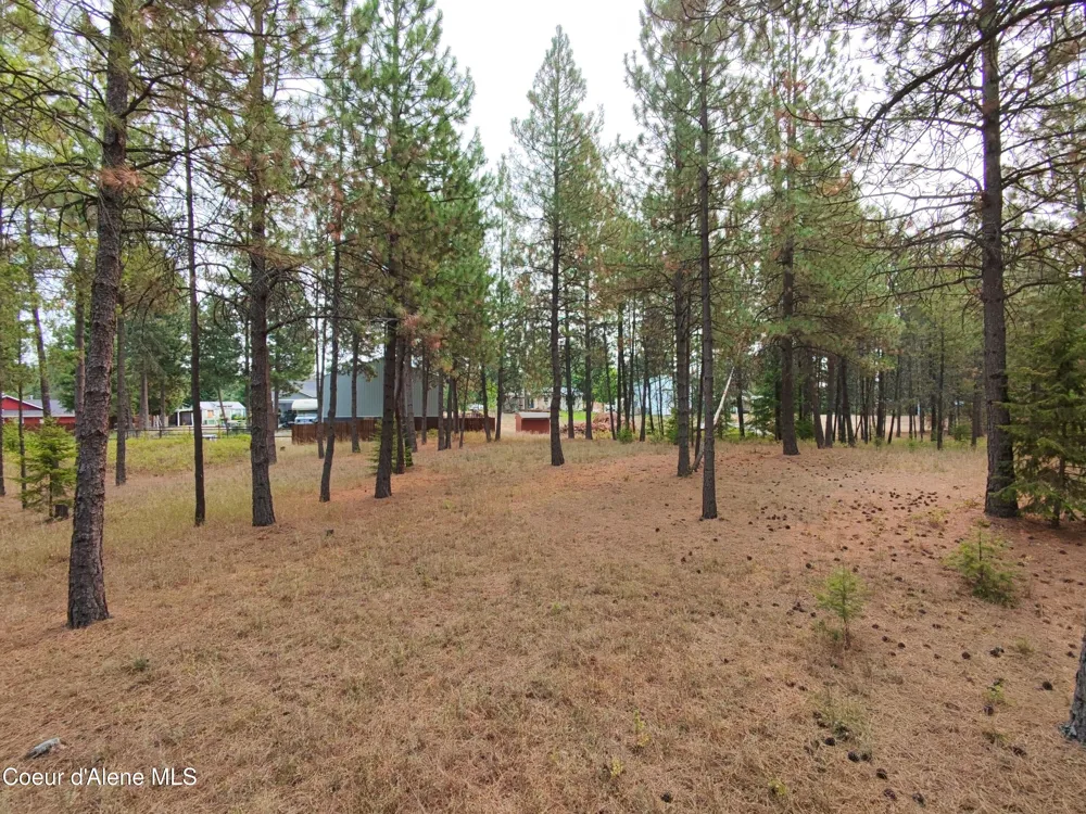 NA 11th Avenue Spirit Lake, ID 83869