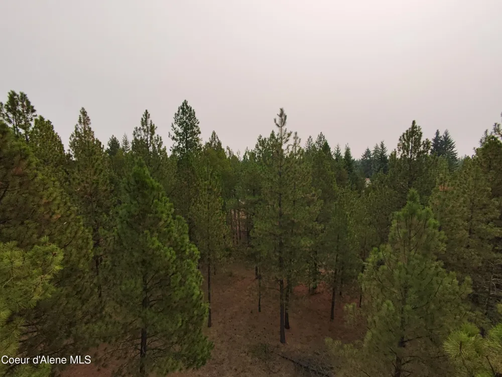 NA 11th Avenue Spirit Lake, ID 83869