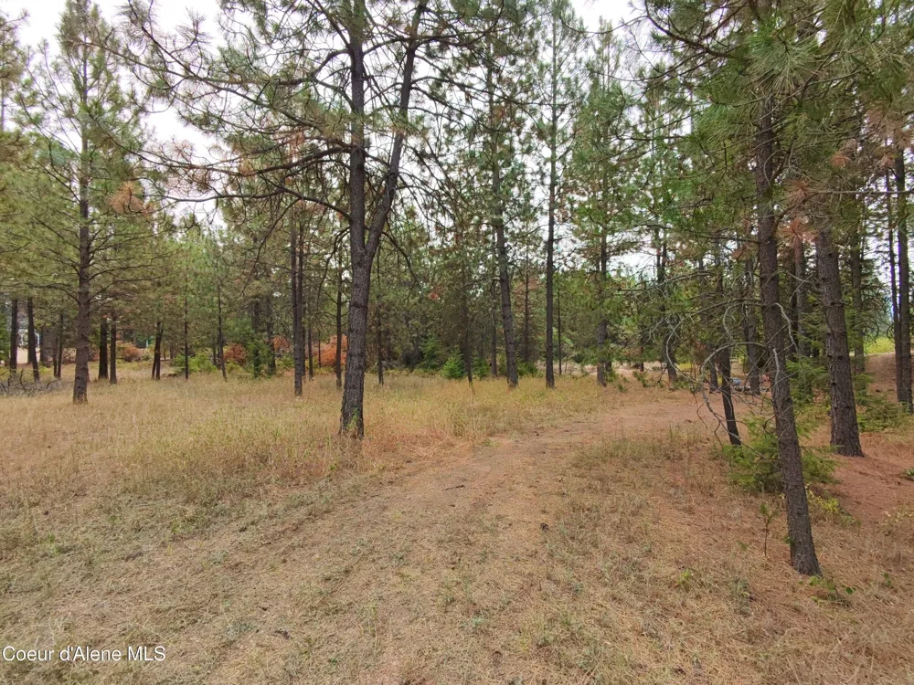 NA 11th Avenue Spirit Lake, ID 83869