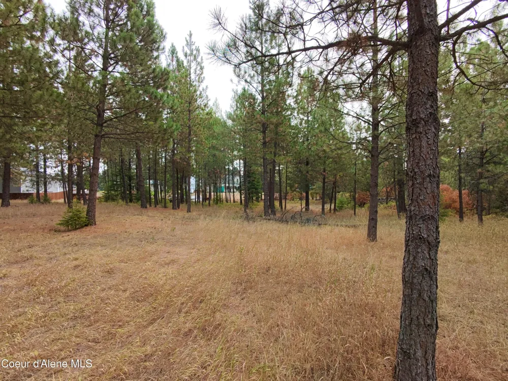 NA 11th Avenue Spirit Lake, ID 83869