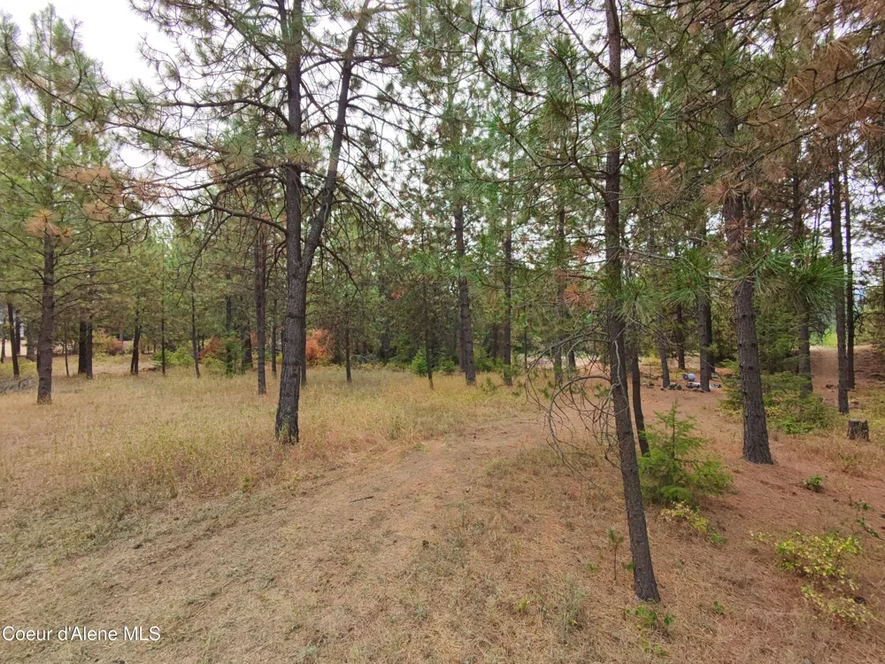 NA 11th Avenue Spirit Lake, ID 83869