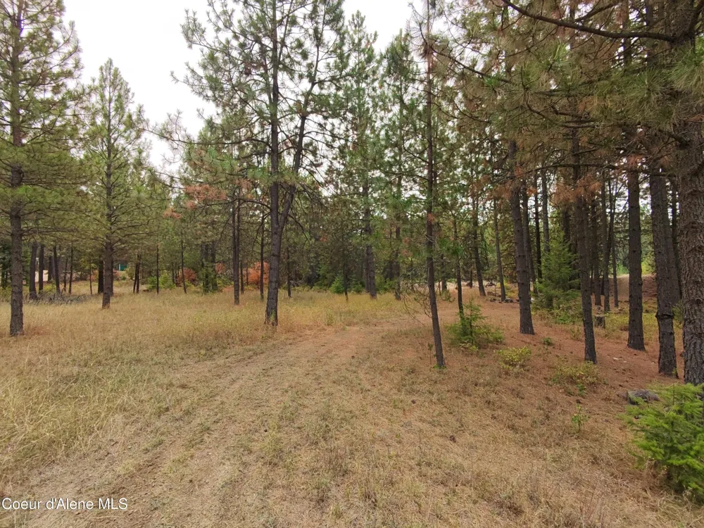 NA 11th Avenue Spirit Lake, ID 83869