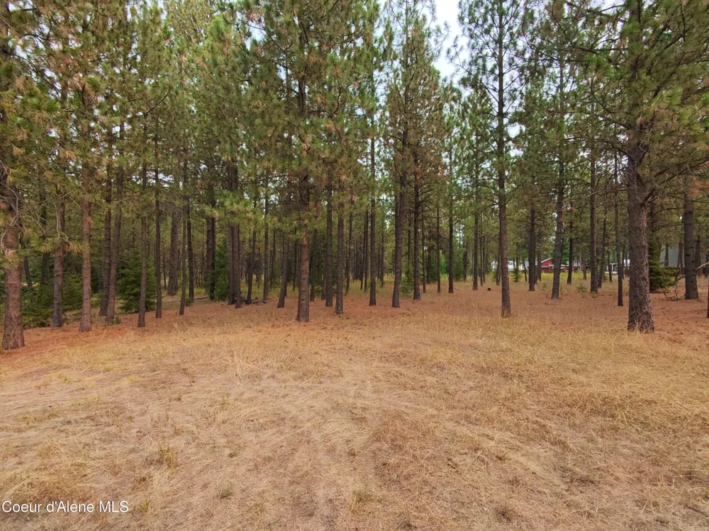 NA 11th Avenue Spirit Lake, ID 83869