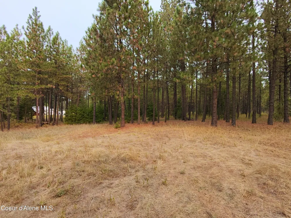 NA 11th Avenue Spirit Lake, ID 83869