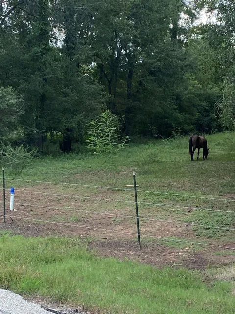 857 Insurance Road