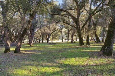 11 Arroyo Sequoia