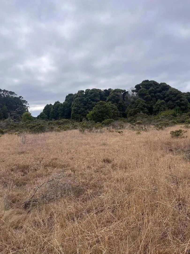110 Dolores Avenue Half Moon Bay, CA 94019