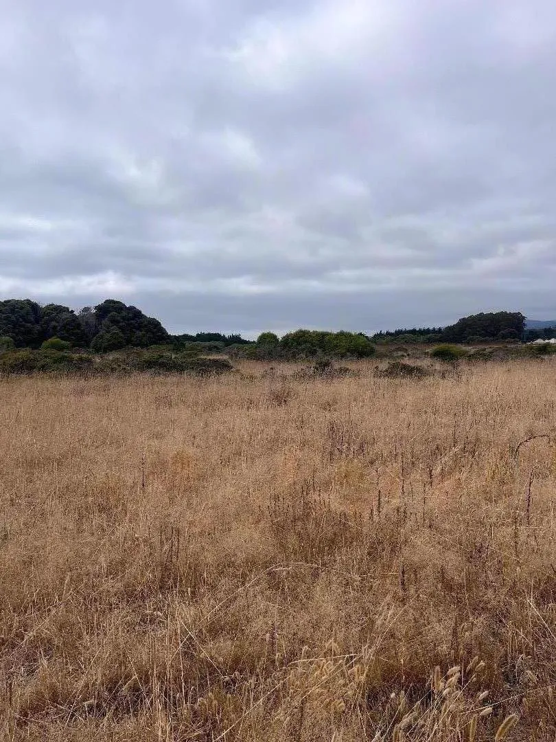 200 Dolores Avenue Half Moon Bay, CA 94019