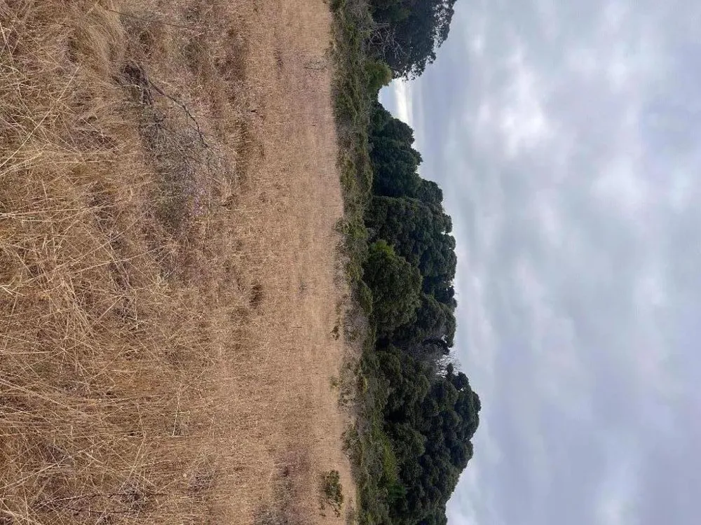 200 Dolores Avenue Half Moon Bay, CA 94019