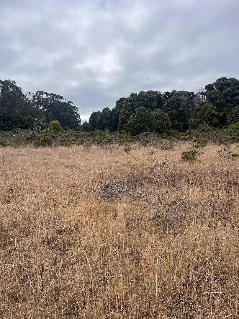 200 Dolores Avenue Half Moon Bay, CA 94019
