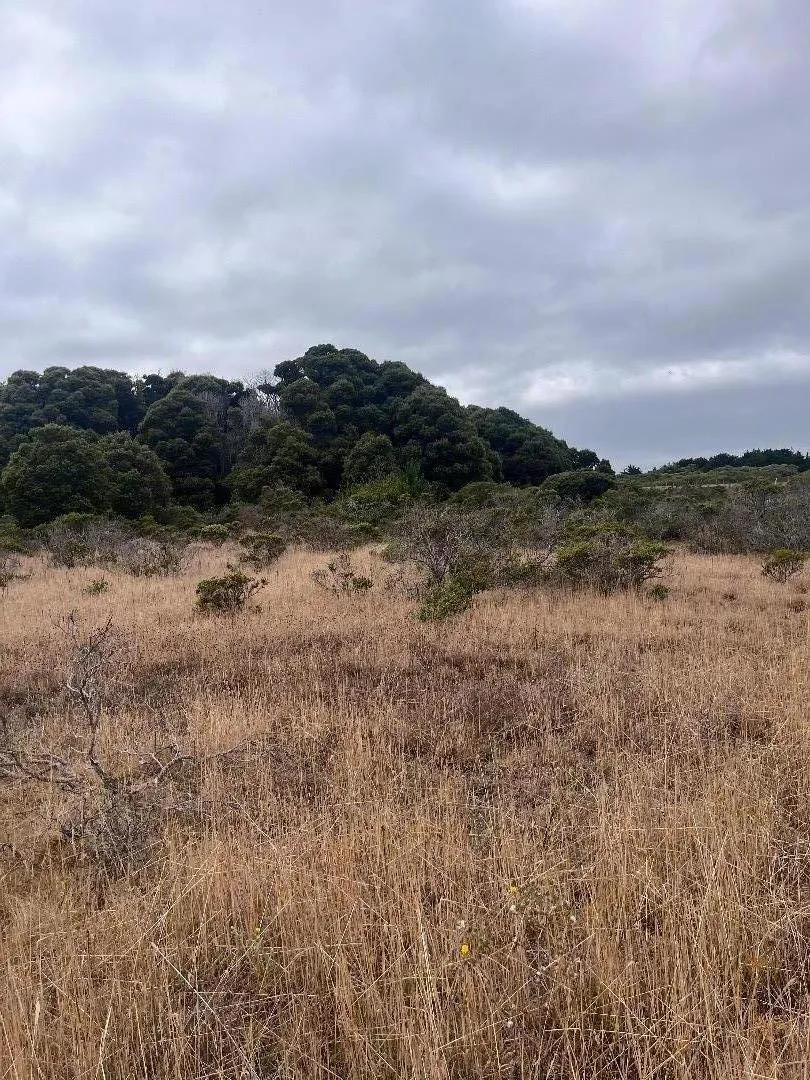 200 Dolores Avenue Half Moon Bay, CA 94019