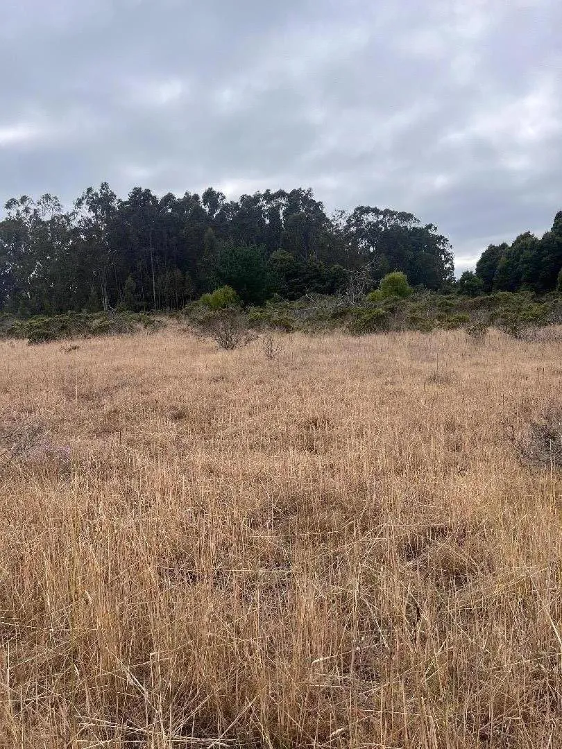 200 Dolores Avenue Half Moon Bay, CA 94019