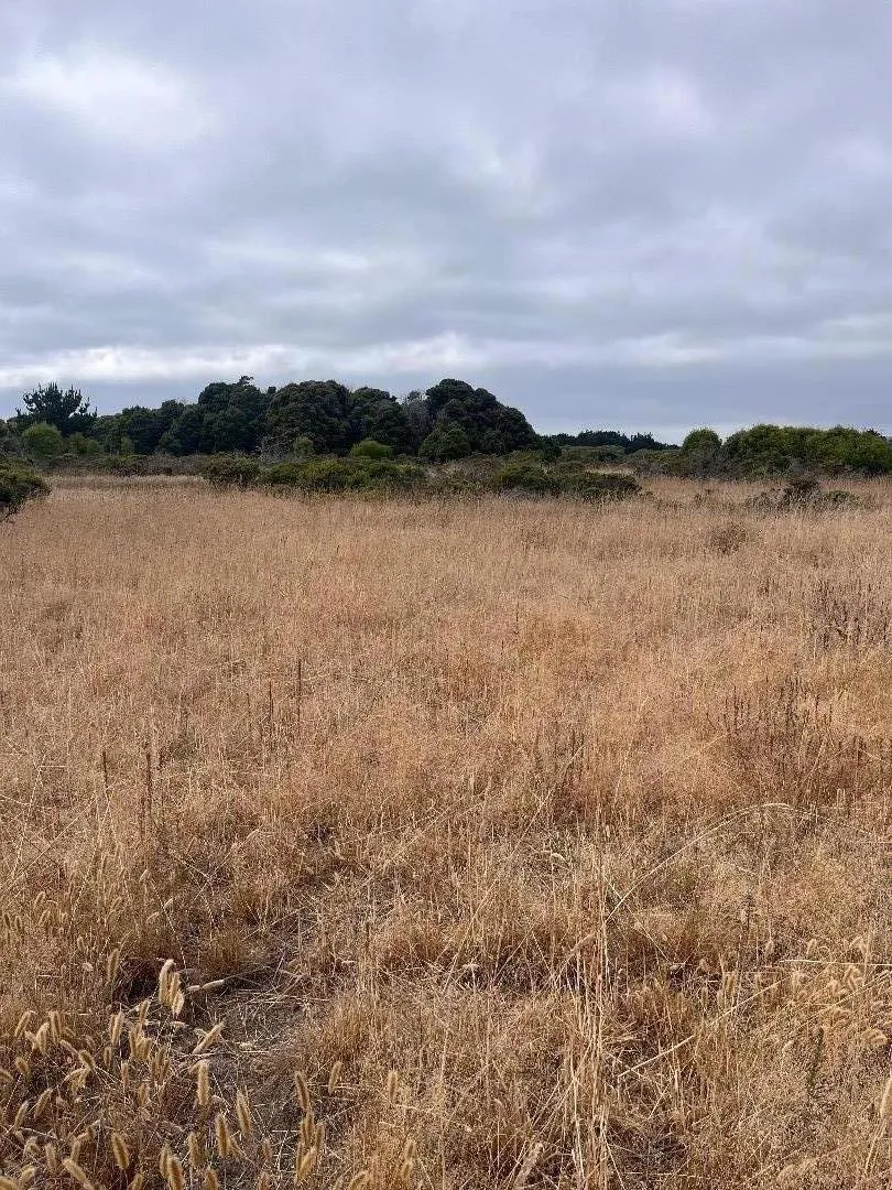 200 Dolores Avenue Half Moon Bay, CA 94019
