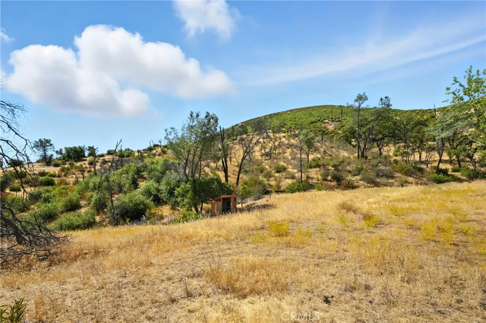 26648 Jerusalem Grade Lower Lake, CA 95457