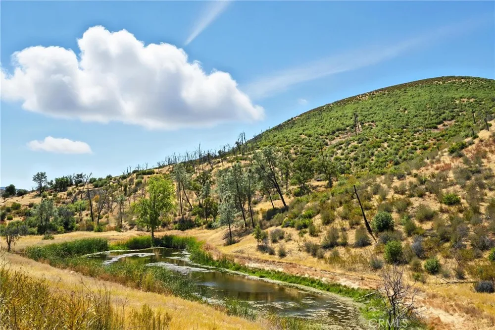 26648 Jerusalem Grade Lower Lake, CA 95457