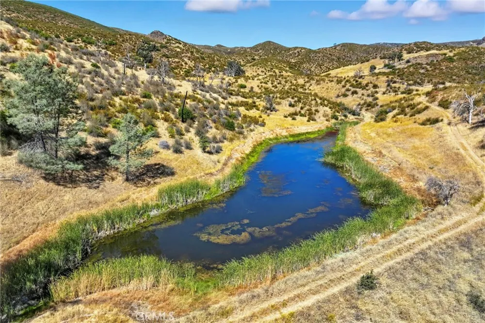 26648 Jerusalem Grade Lower Lake, CA 95457