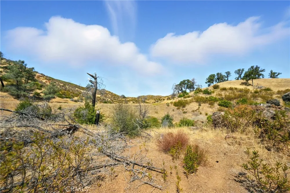 26648 Jerusalem Grade Lower Lake, CA 95457
