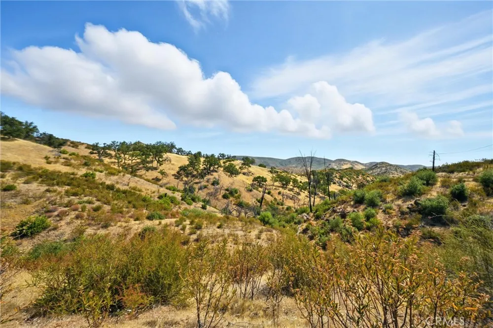 26648 Jerusalem Grade Lower Lake, CA 95457