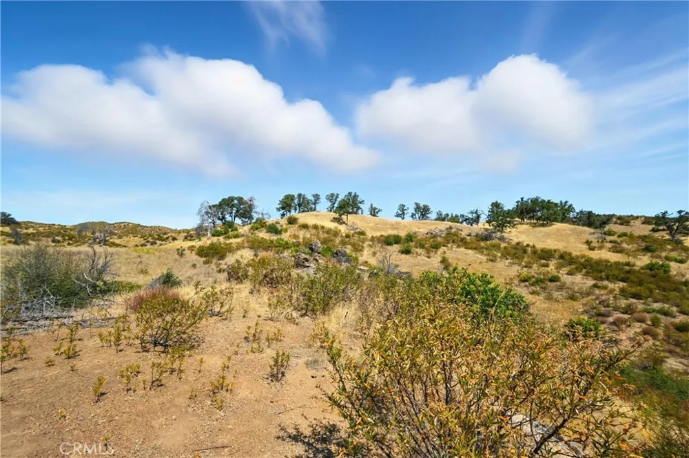 26648 Jerusalem Grade Lower Lake, CA 95457